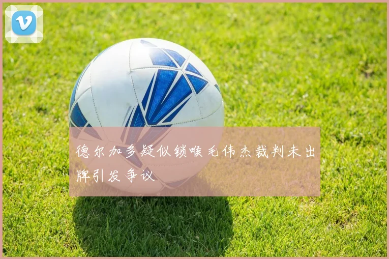 德尔加多疑似锁喉毛伟杰裁判未出牌引发争议